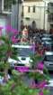 festamadonnadipompei201512_small.jpg