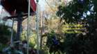 grotteria2015festasscrocifissodelmiracolo15_small.jpg