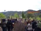grotteriadomenicadellepalme20142_small.jpg